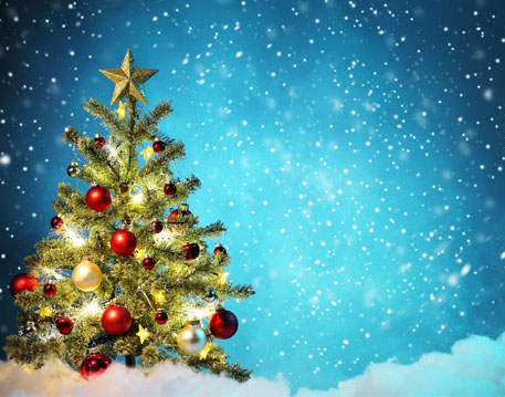 Christmas Trees Collection