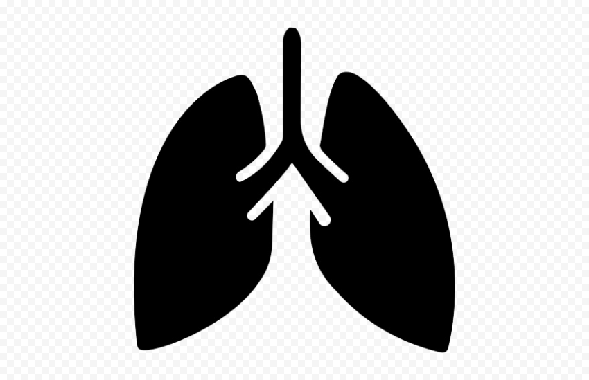 Black Lungs Respiratory System Breathing Icon
