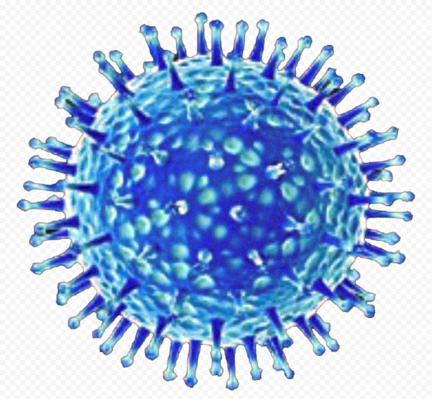 Corona Virus Cells Covid19 Shape Icon Bacteria
