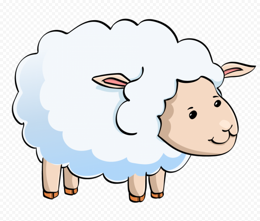Cute White Lamb Sheep Cartoon Illustration