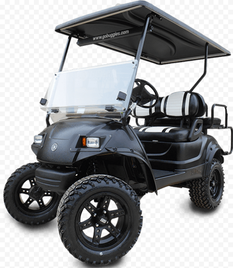 Black Golf Buggies Cart Car Vehicle Two Seater