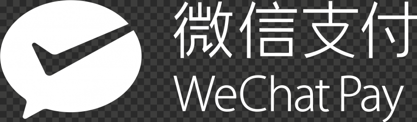 White WeChat Pay Chinese Text Logo Icon