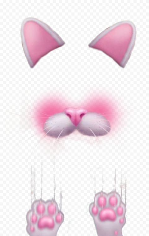 Snapchat Cat Cute Face With Claws Filter Ears & Nose PNG Image