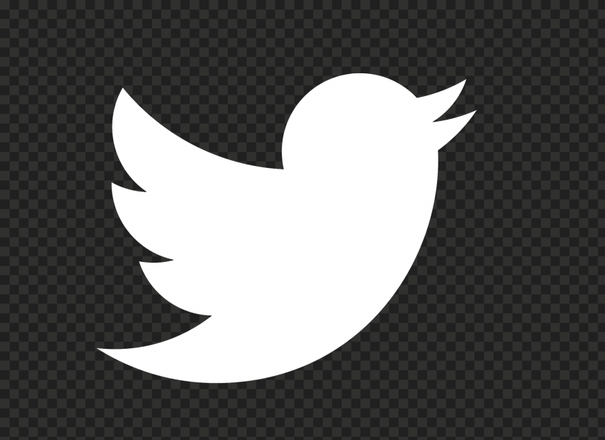 HD White Twitter Bird Logo Icon PNG | Citypng