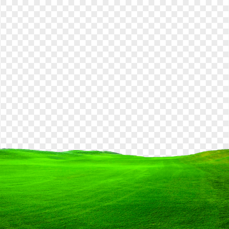 Beautiful Green Nature Grass Field Lawn HD PNG