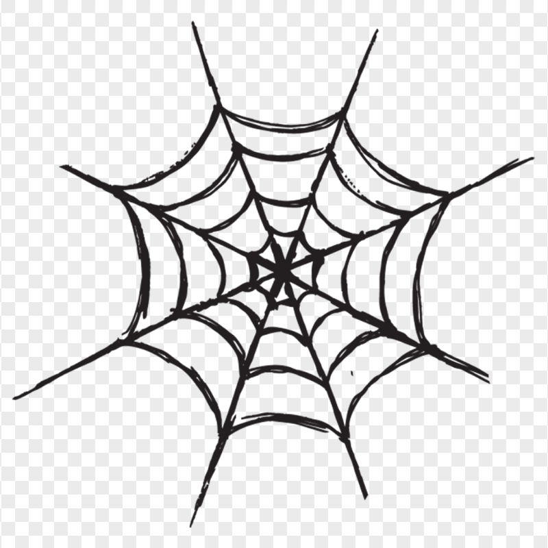 Black Drawing Spider Web Halloween HD PNG