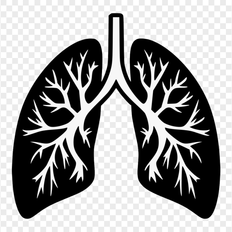 Black Humain Lung Trachea Respiratory Icon Vector