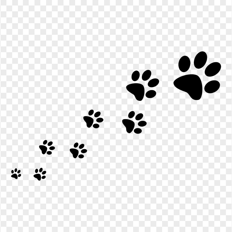 Black Pet Paw Path HD Transparent Background