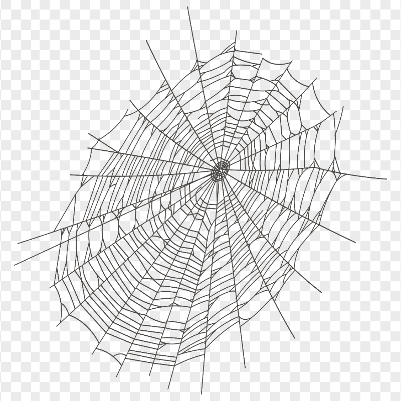 Black Spider Web Halloween FREE PNG