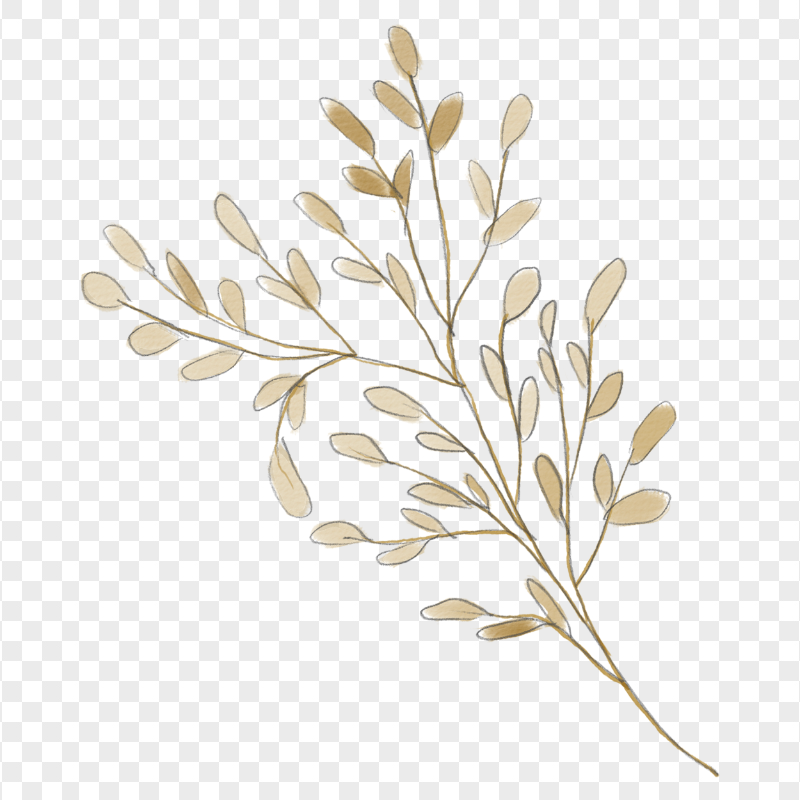 Brown Watercolor Leaves On Branch FREE PNG
