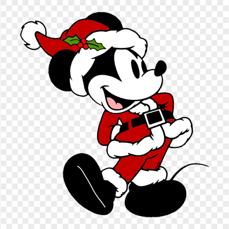 Cartoon Disney Mickey Mouse Santa Costume