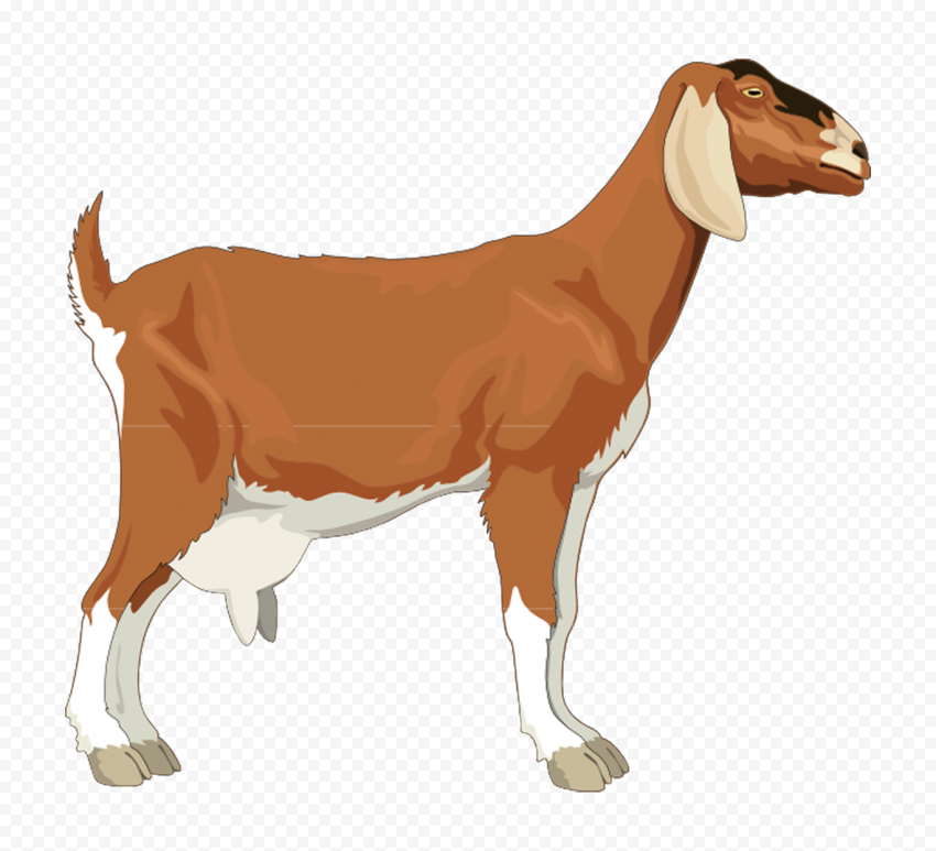 Cartoon Illustration Side View Goat PNG Image | Citypng