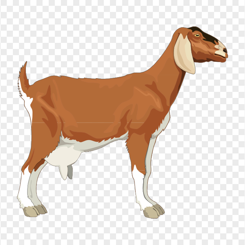 Cartoon Illustration Side View Goat PNG Image