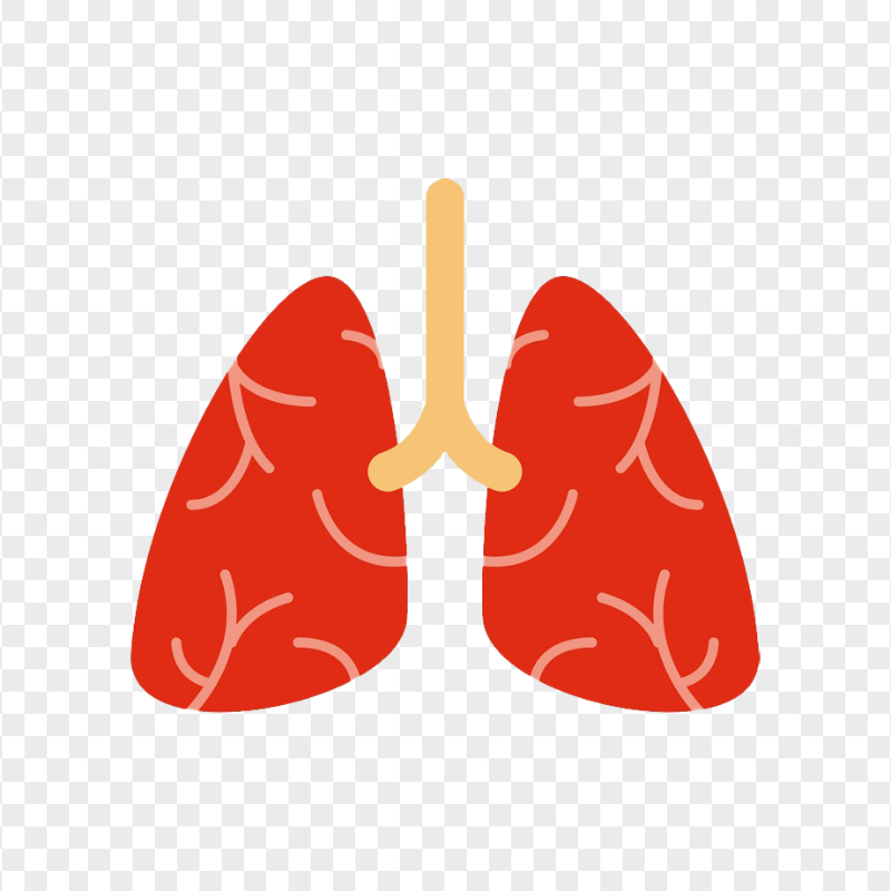 Cartoon Lung Lungs Clipart Respiratory System Icon