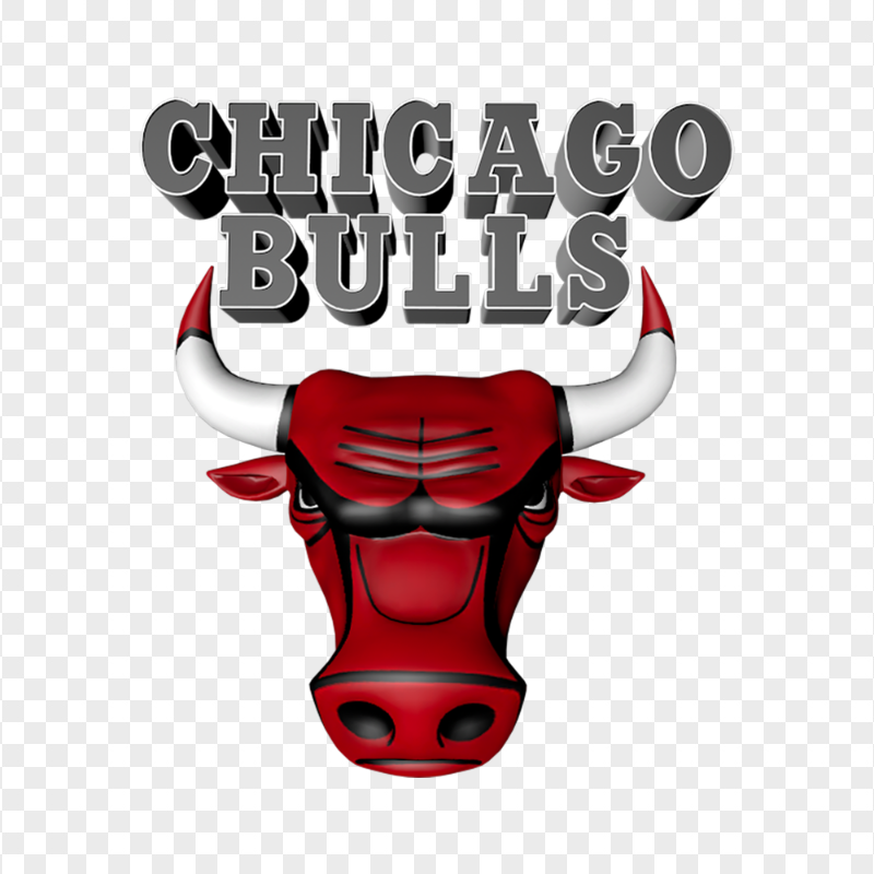 Chicago Bulls 3D Logo PNG