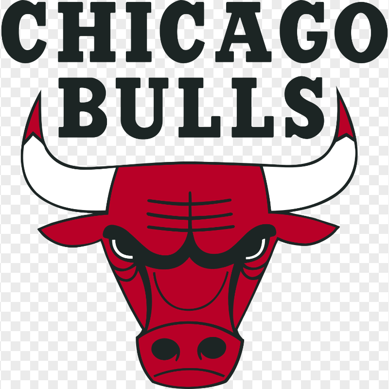 Chicago Bulls Logo PNG Image