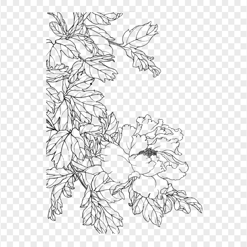 Chinese Flower Outline Black Corner