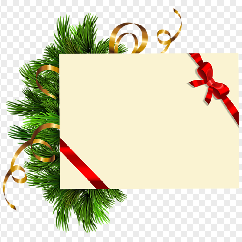 Christmas Pine Branch Greeting Card Illustration