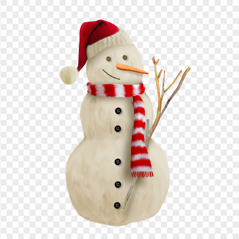 Christmas Real Snowman Wearing Santa Hat