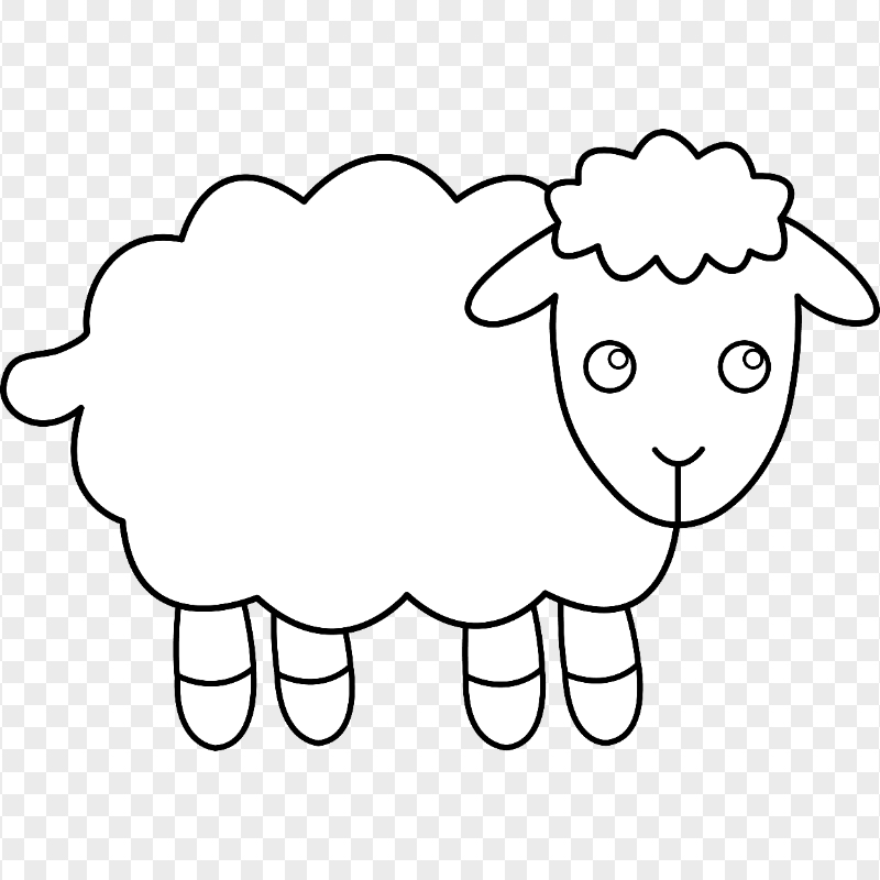 Coloring Cute Sheep PNG