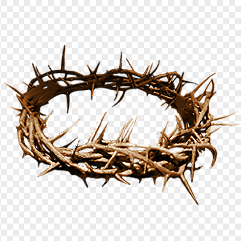Crown Of Thorns Christian Spines Christianity