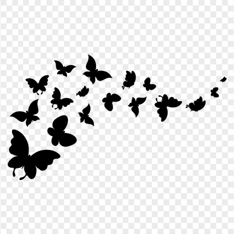 Download Flying Butterflies Black Silhouette PNG