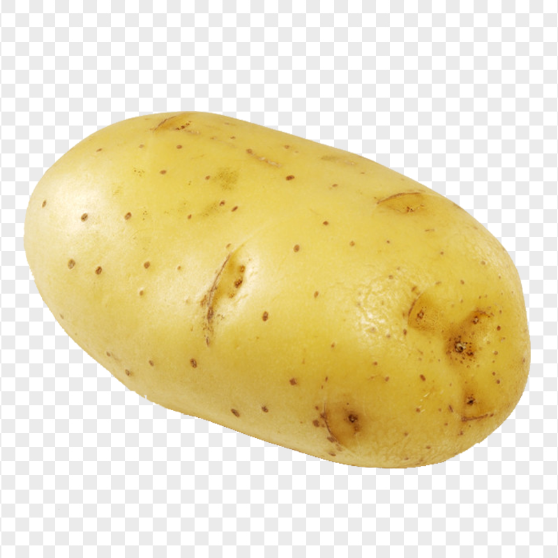 Download Fresh Potato PNG