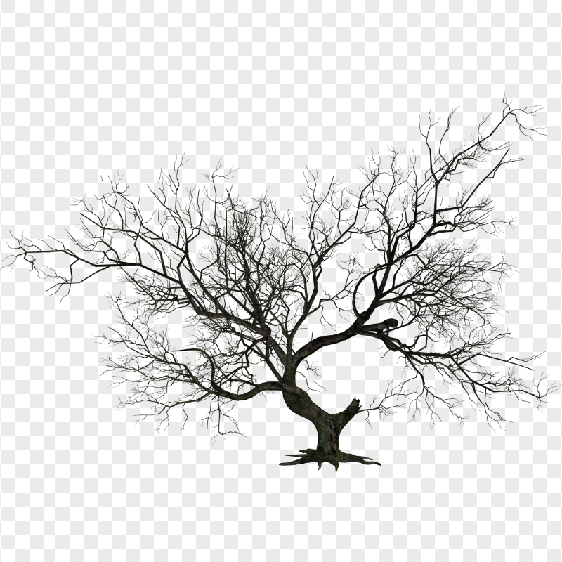 Download Real Scary Halloween Tree Branch PNG