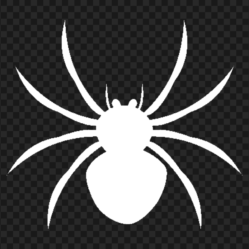 Download Spider White Silhouette PNG