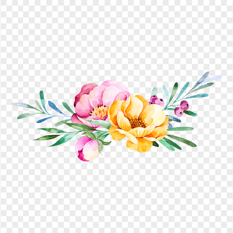 Download Watercolor Beautiful Plant Flowers PNG