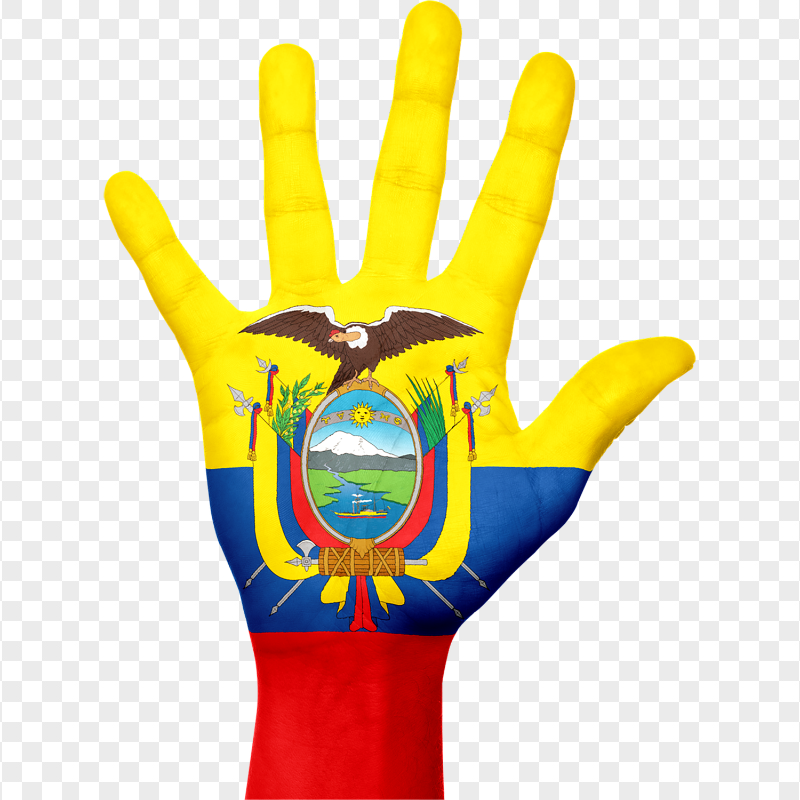 Ecuador Flag Painted On Open Hand HD PNG