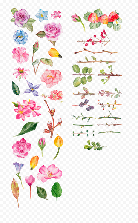 FREE Collection Of Watercolor Painting Flowers PNG