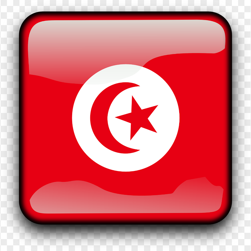 Glossy Square Tunisian TUN Flag Button Icon