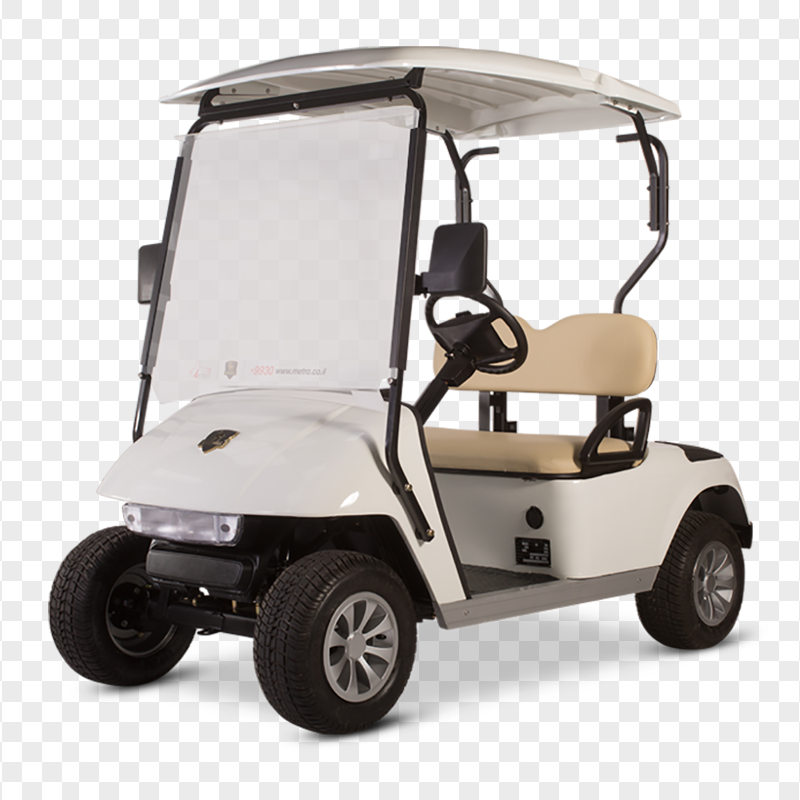 Golf Buggies Cart Vehicle Two Places