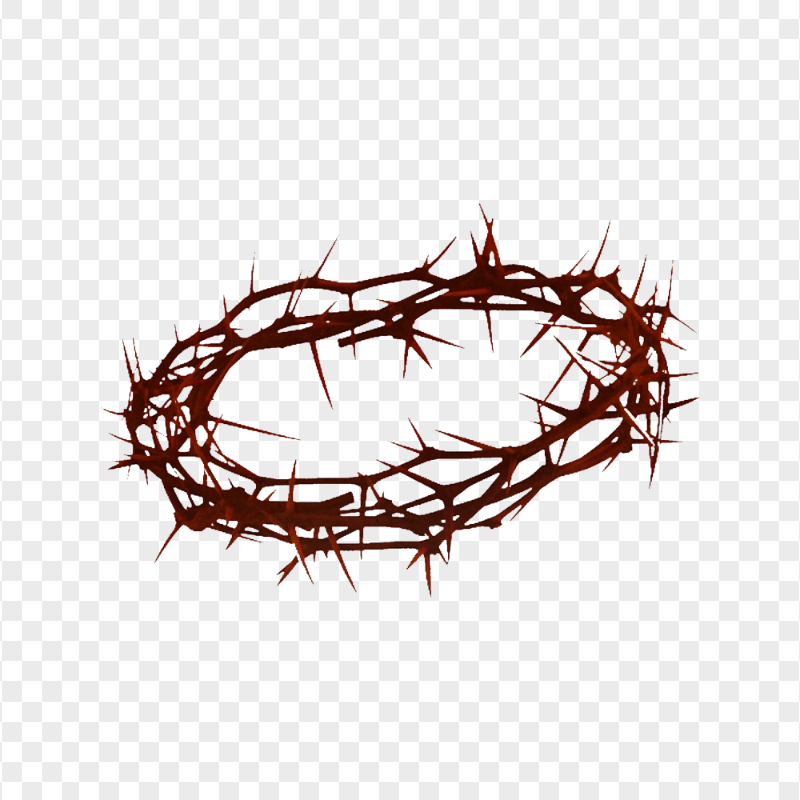 Good Friday Crown Of Thorns Christian Spines