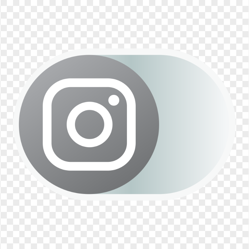 Gray Instagram Offline OFF Disabled Web Icon