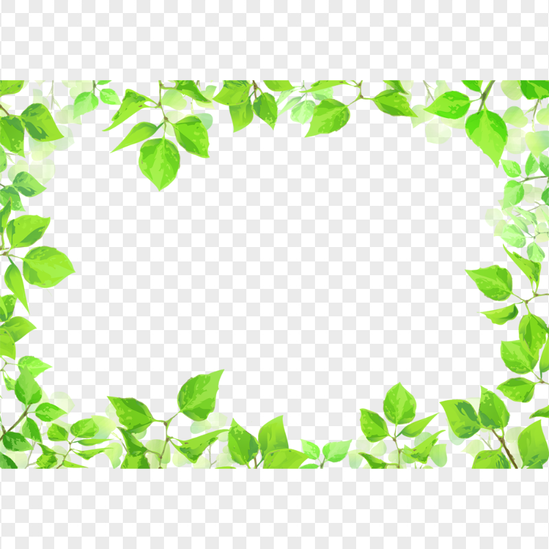 Green Leaves Frame PNG