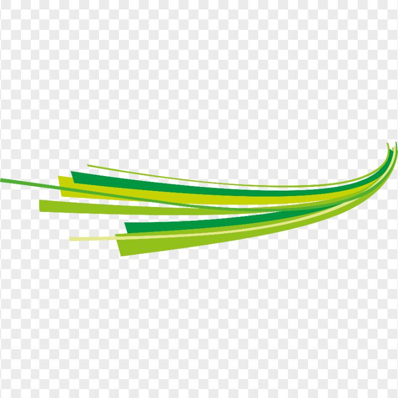 Green Lines Abstract Art Transparent Background