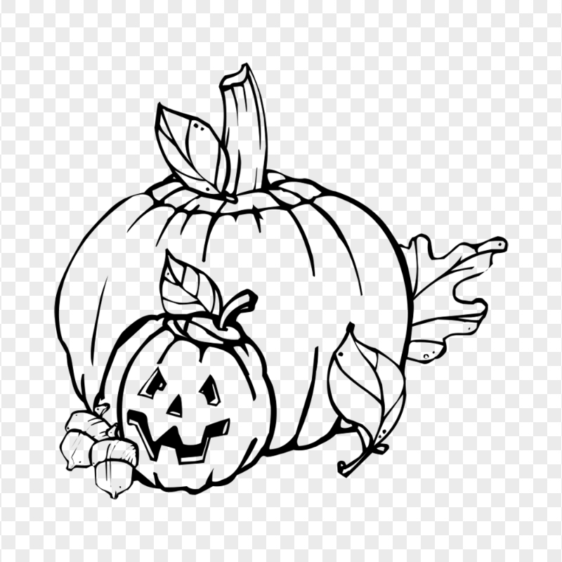 Halloween Line Drawing Pumpkins With Autumn Leaves