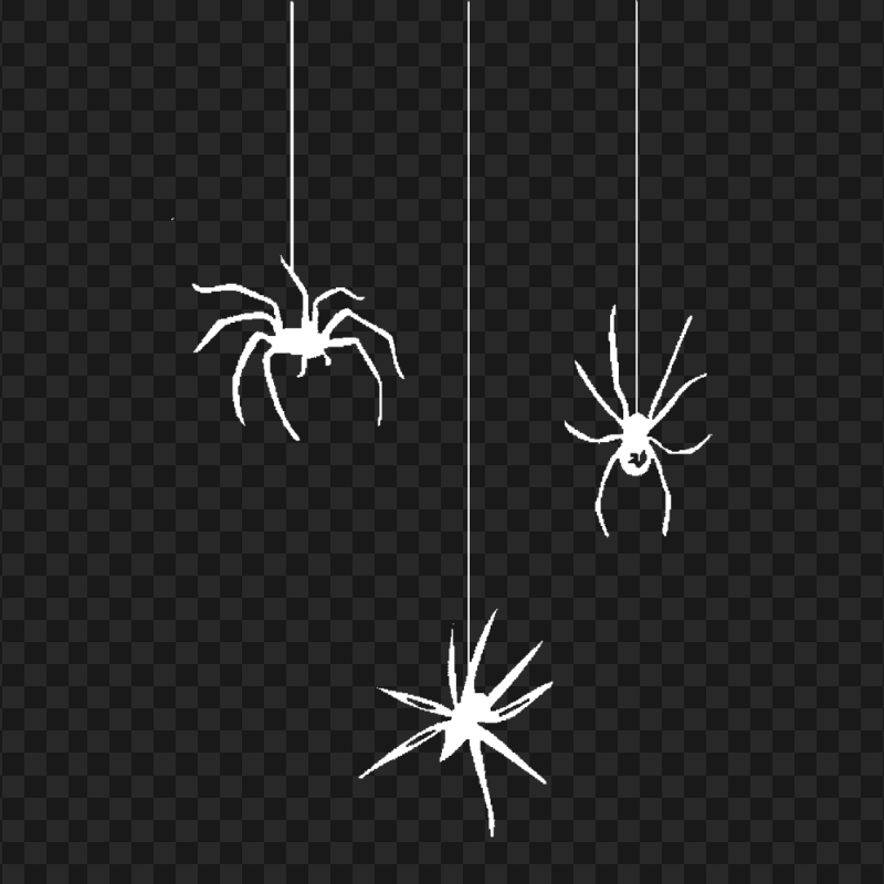 Halloween Three Spiders White Silhouette PNG IMG