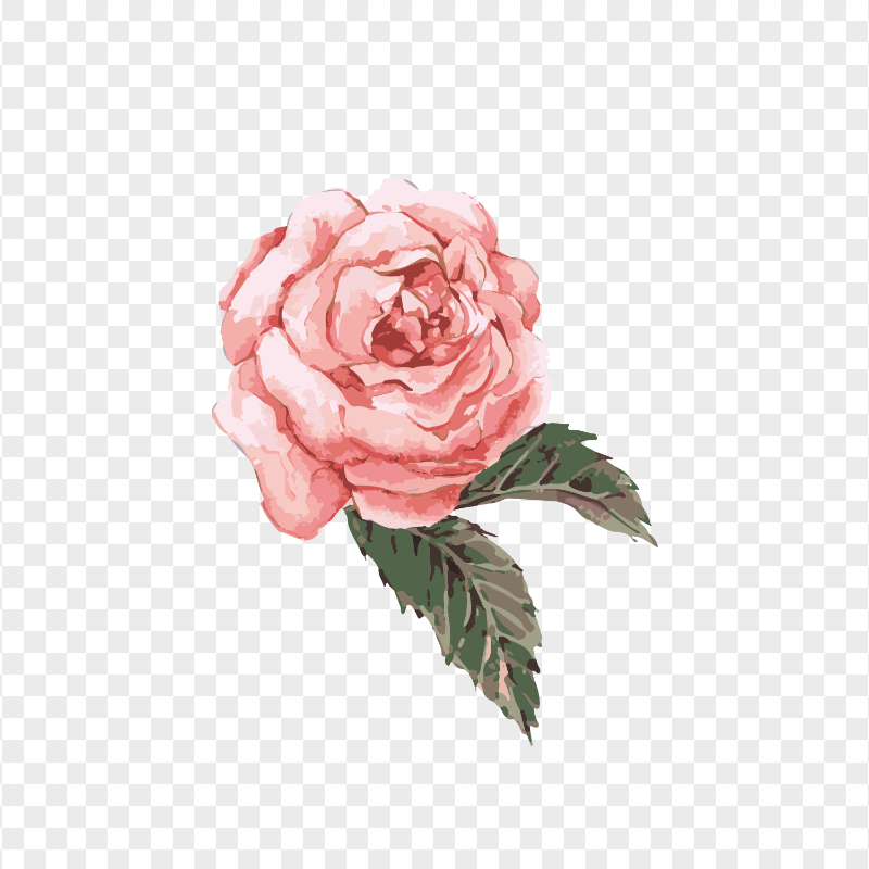 Hand Painted Watercolor Flower PNG Image