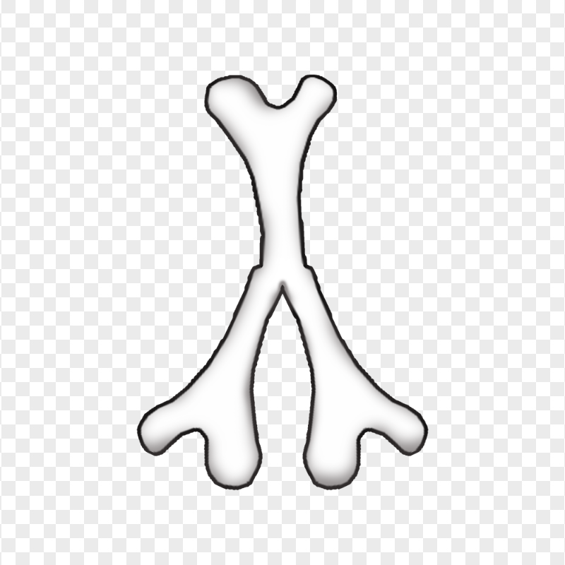 HD Among Us Crewmate Character Bone Anatomy Structure PNG