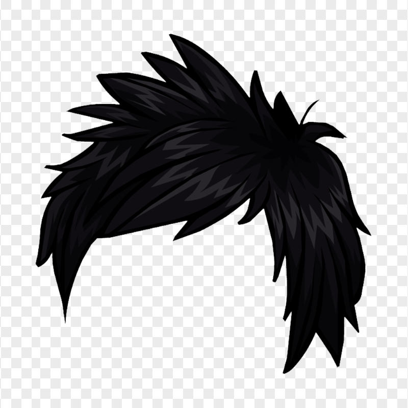 HD Anime Boy Black Hair PNG