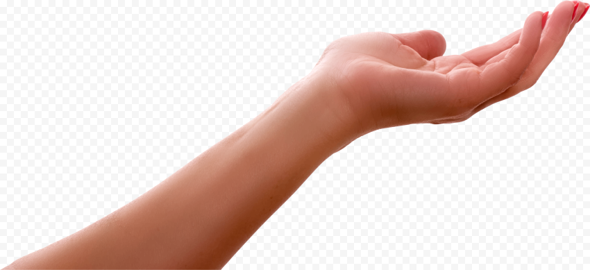 HD Beautiful Female Arm Palm Up Hand PNG