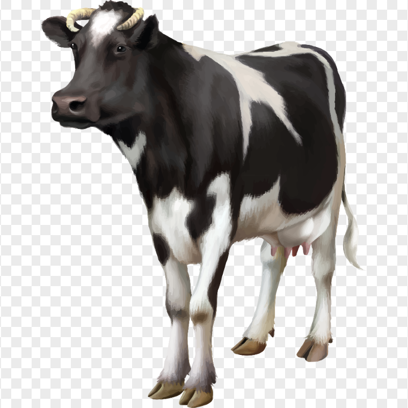 HD Black And White Paint Cow PNG