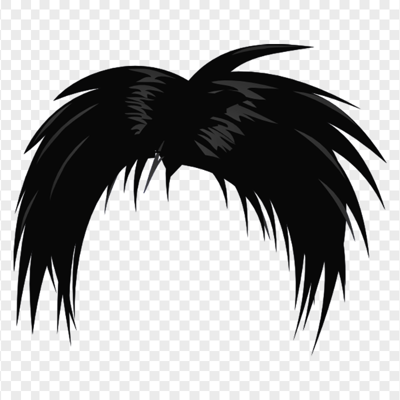 HD Black Hair Anime Boy PNG