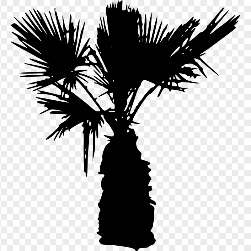 HD Black Mini Palm Tree Silhouette PNG