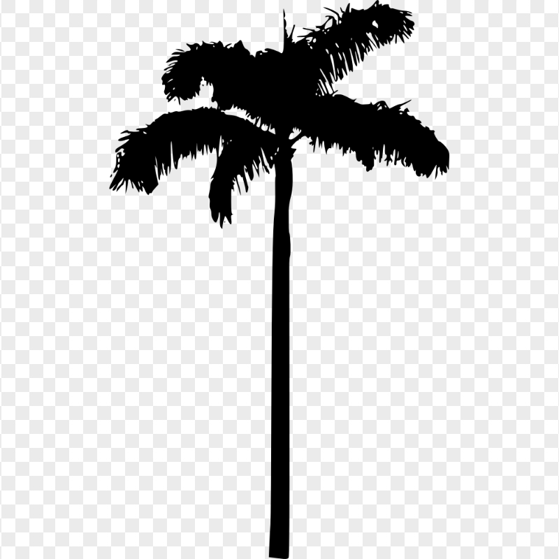 HD Black Palm Tree Silhouette PNG