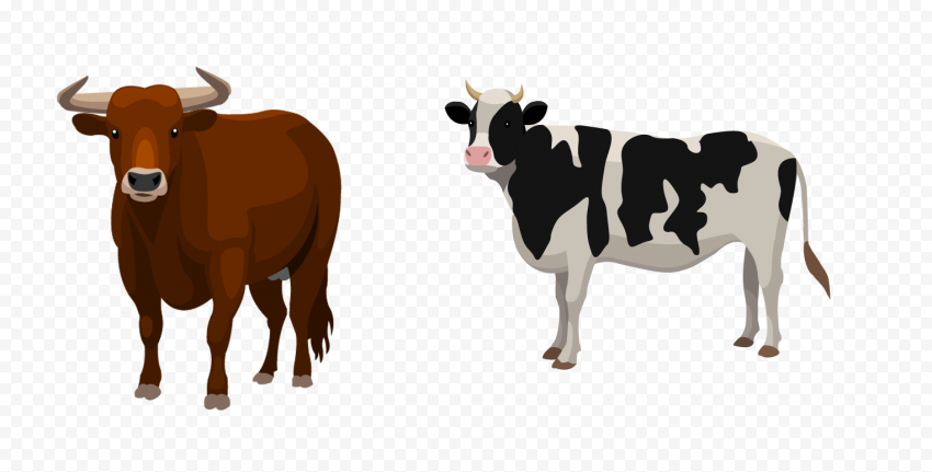 HD Cartoon Cow And Bull Farm Animals PNG | Citypng