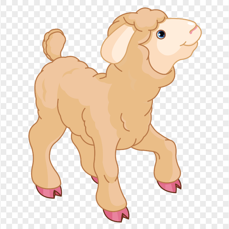 HD Cartoon Cute Little Sheep Lamb PNG